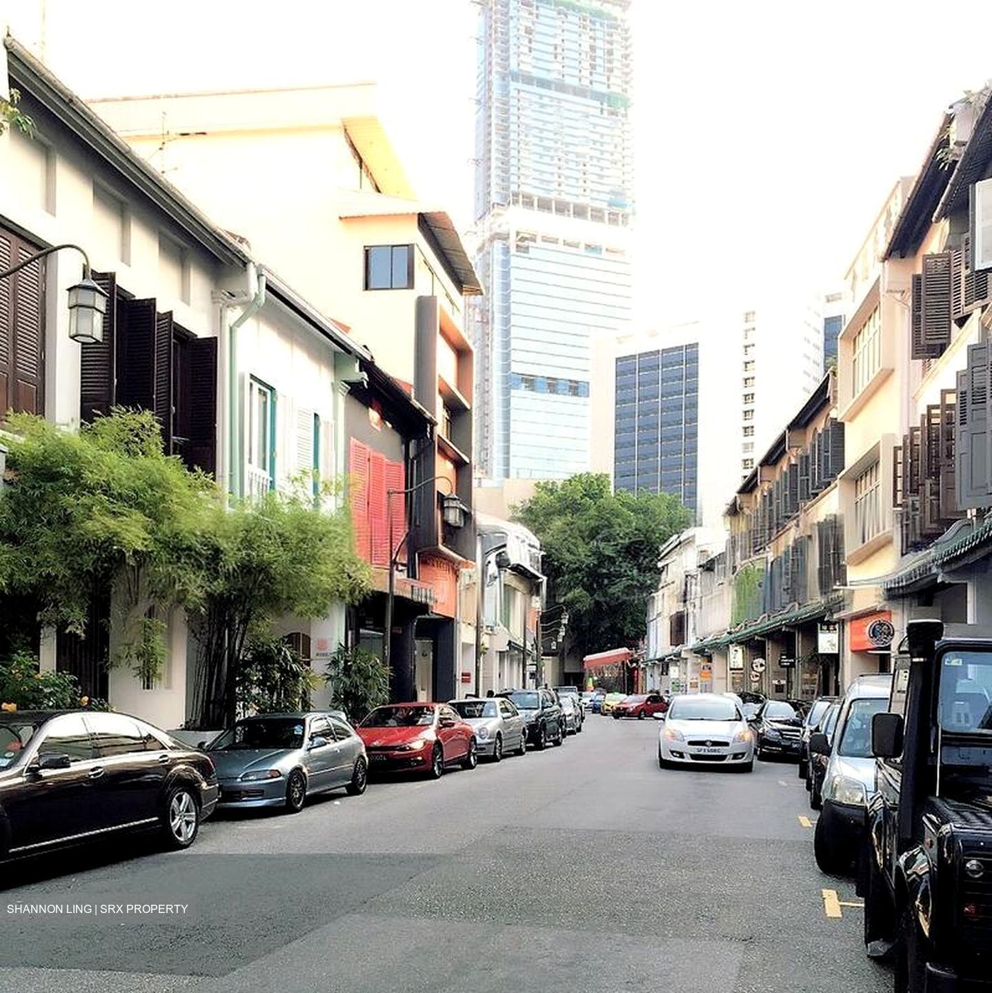 Telok Ayer Conservation Area (D1), Shop House #612413041